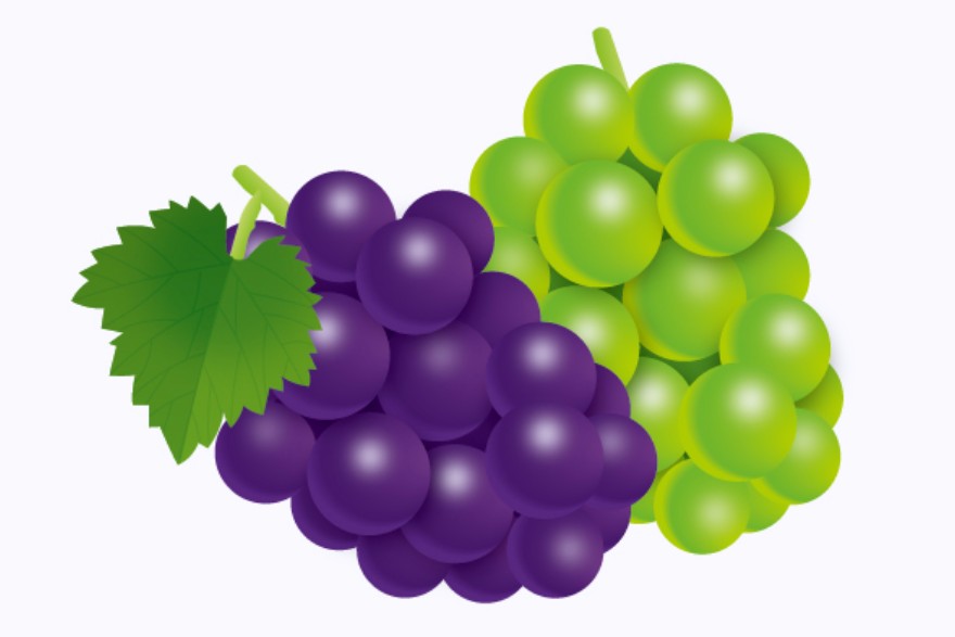 「ぶどう（葡萄）」の こどもに話したい！栄養と調理・保存のコツ【食育コラム】