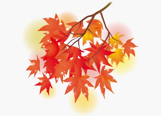紅葉(もみじ)